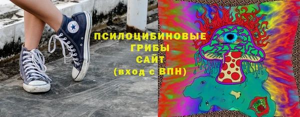 гашик Абаза