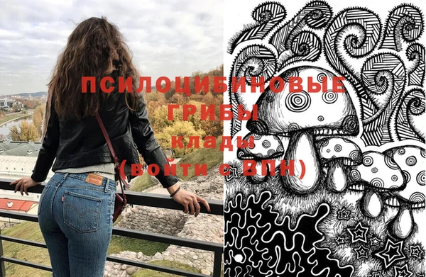 мдпв Абинск