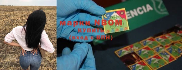 гашик Абаза
