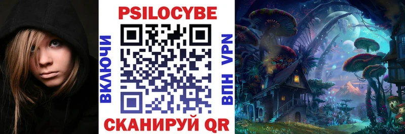 наркотики  Темников  Галлюциногенные грибы Psilocybine cubensis 
